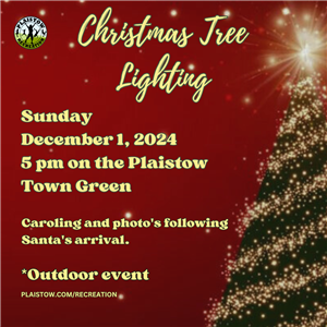 Tree Lighting